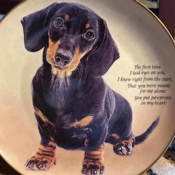 Pawprints On My Heart Plate from the Cherished Dachshunds Collection - Black Tan - Picture 5 of 6